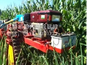 高效率大蔥收獲機